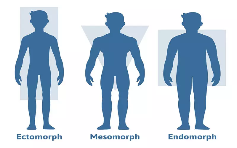 انواع تیپ بدنی و ویژگی‌های آنها