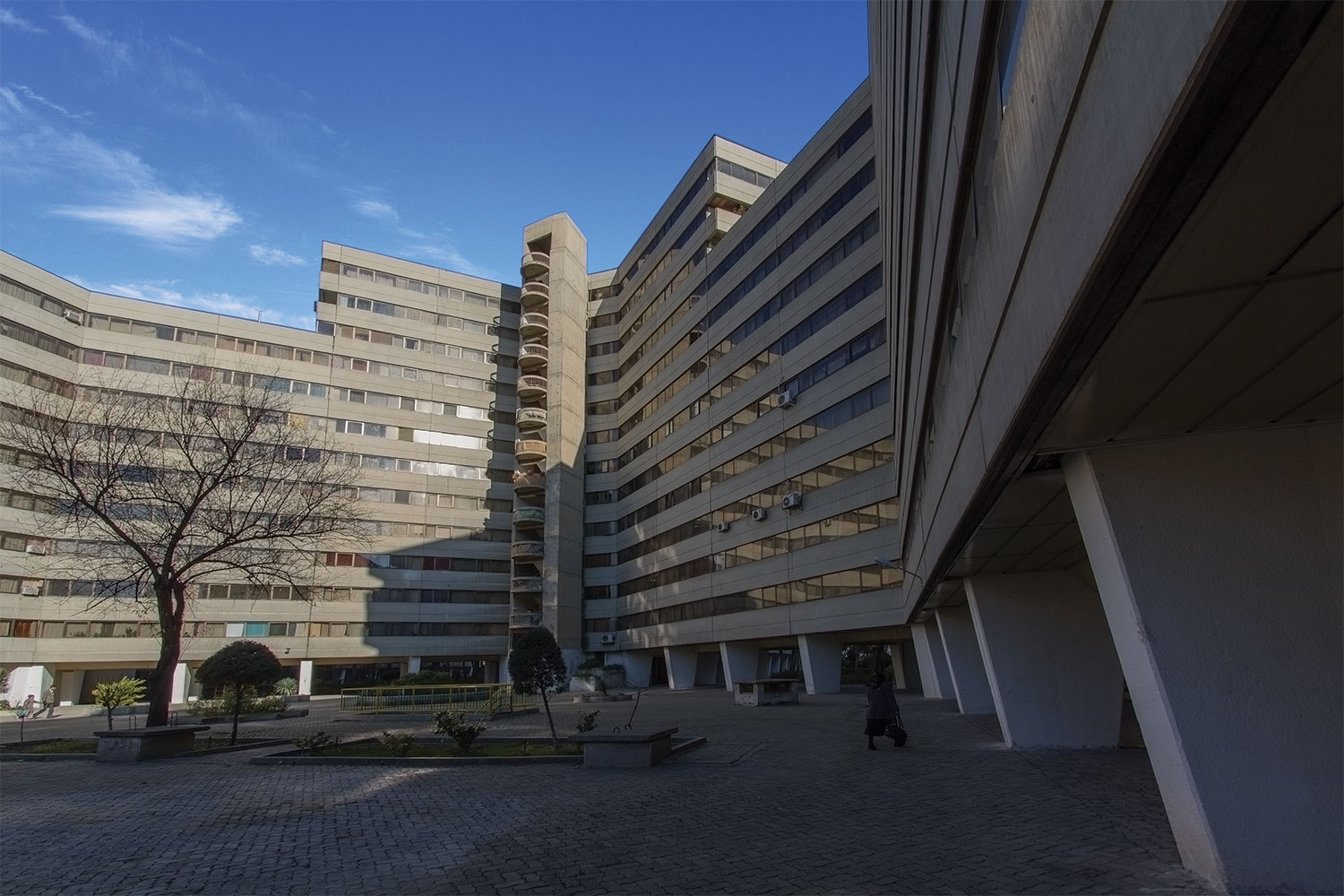 بروتالیسم چیست؟