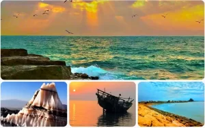 استان بوشهر سرزمین جاذبه‌های بکر و دست‌نخورده