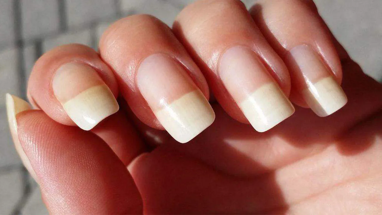 برای رشد ناخن چه کنیم؟
